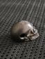 Preview: Skull Ghost Rider