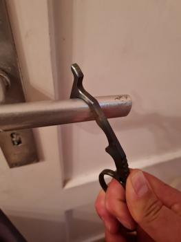 Preview: Rattlesnake